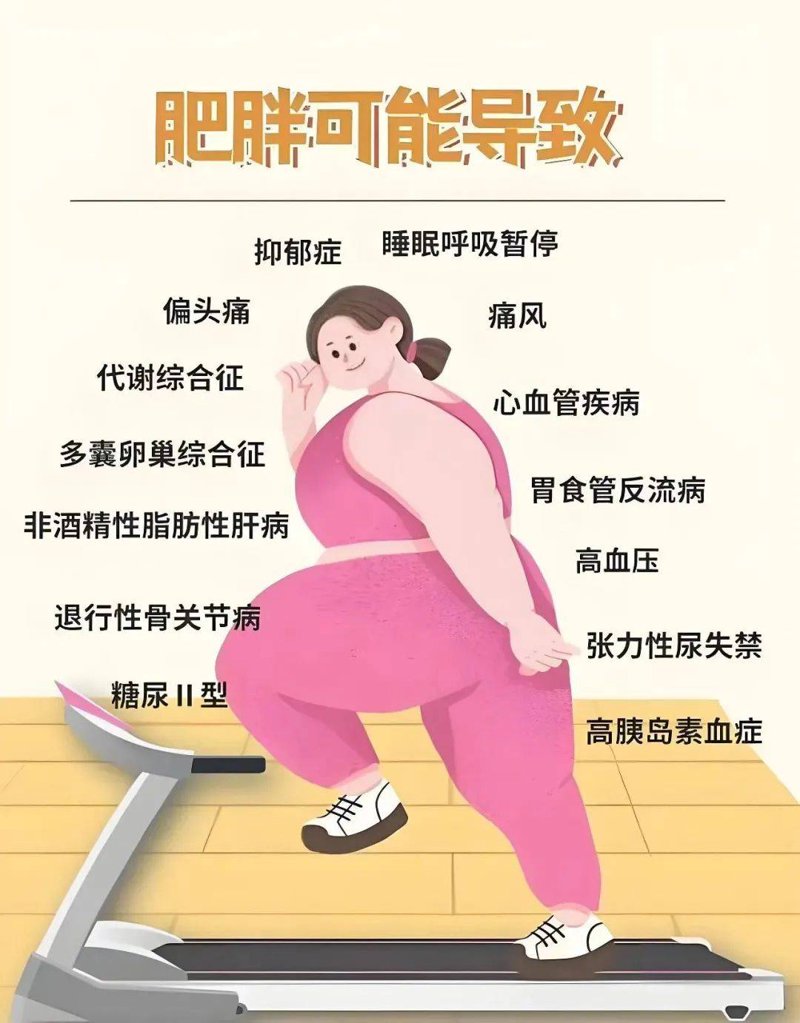 爱瘦健康管理：用系统化思维做好体重管理与健康生活方式